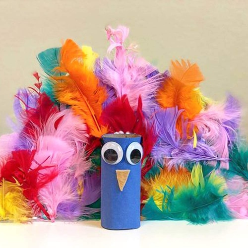 Colorful Feather Pack