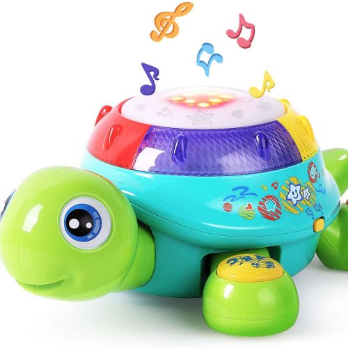 Musical Turtle Toy