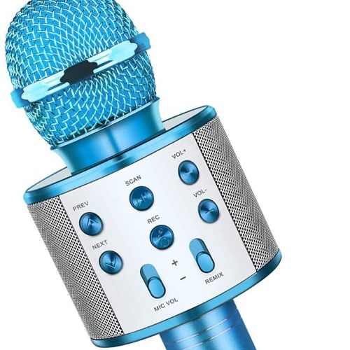 Snoky Fun Toys Microphone for Kids