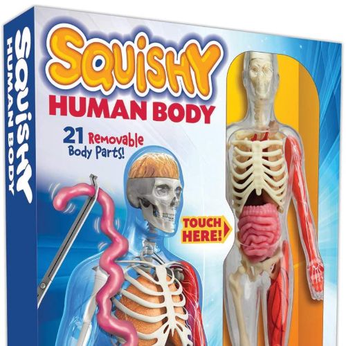 SmartLab Squishy Human Body