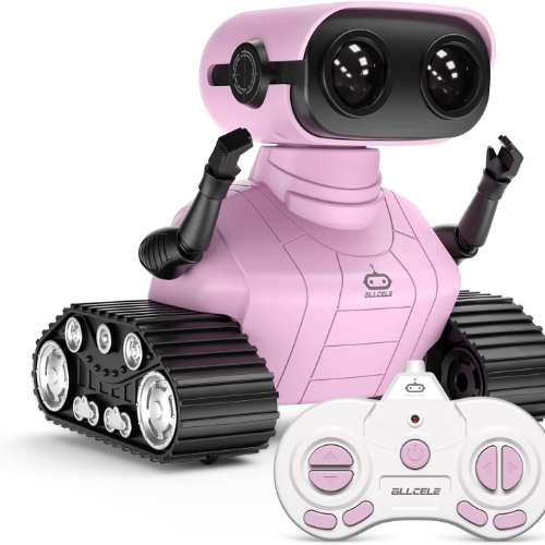 Rechargeable RC Robot
