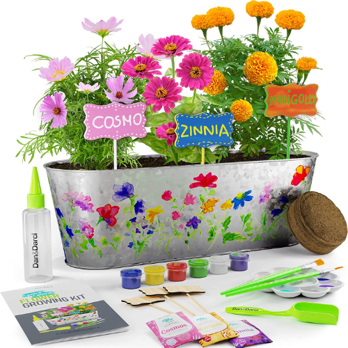 Paint And Plant Gardening Set