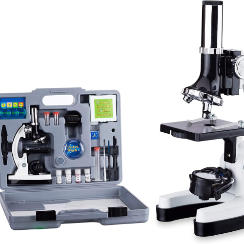 Beginner Microscope