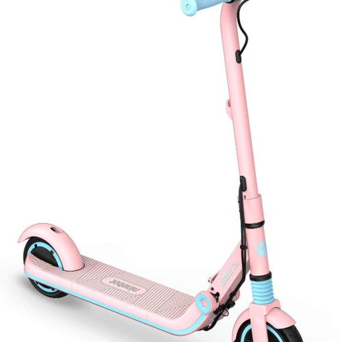 Electric Kick Scooter