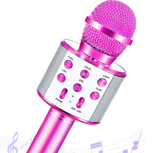 Karaoke Microphone