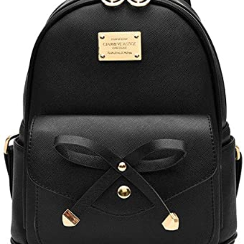 Stylish Backpack