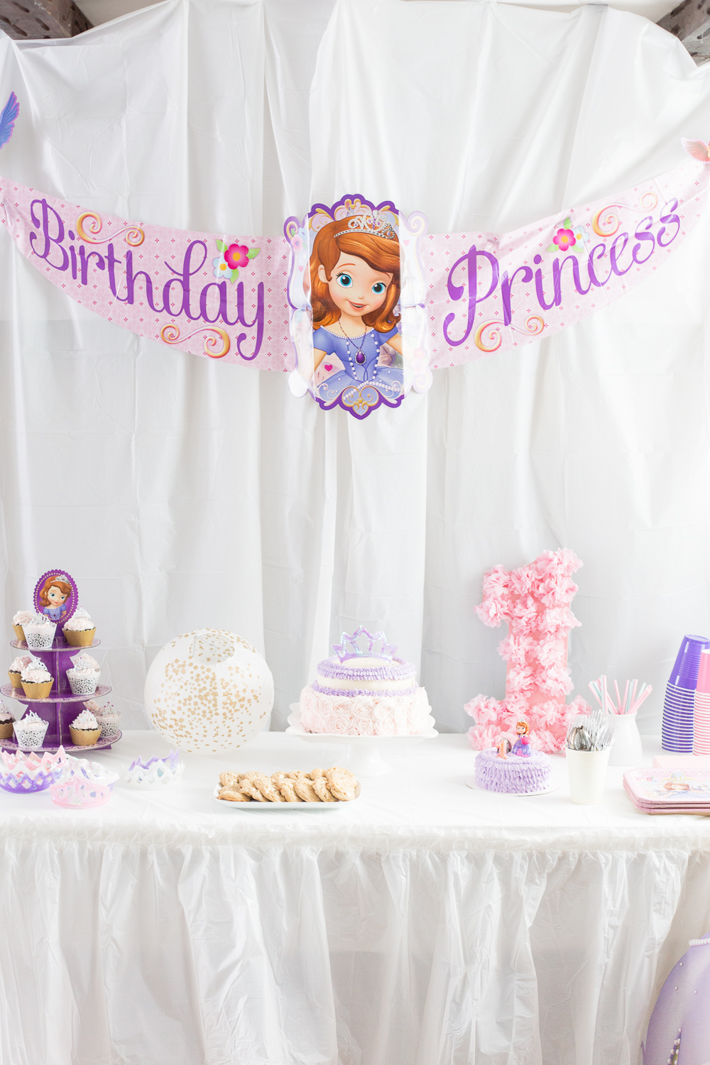 Sofia The 1st Princess Party