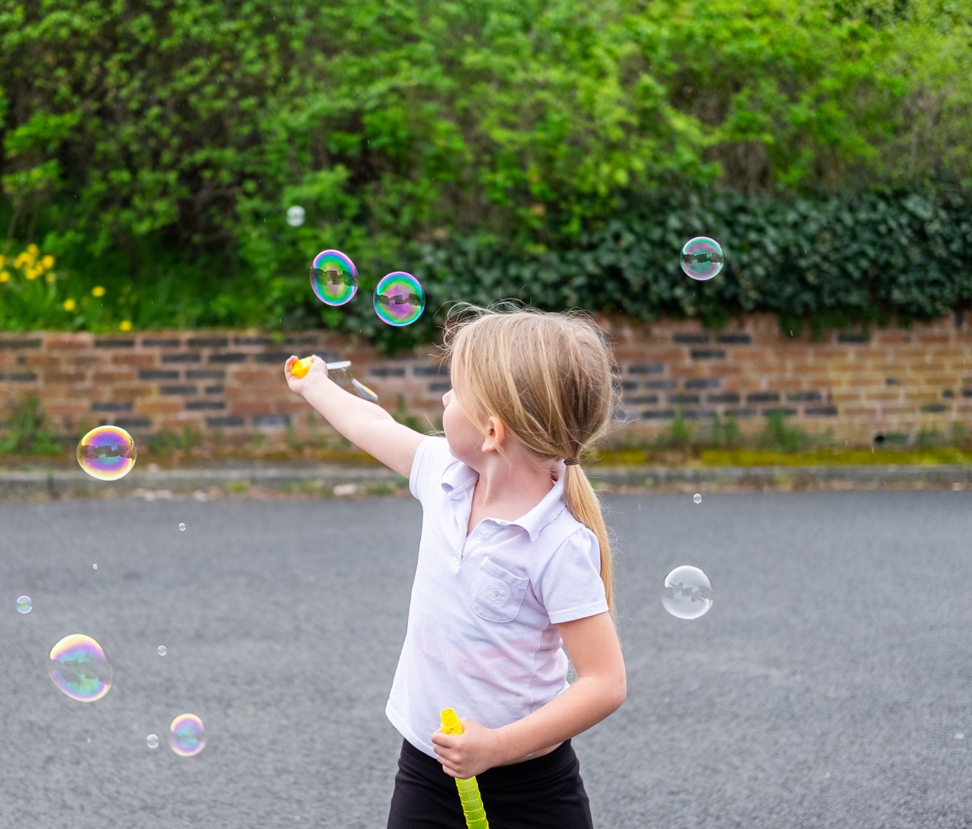 Pop The Bubbles