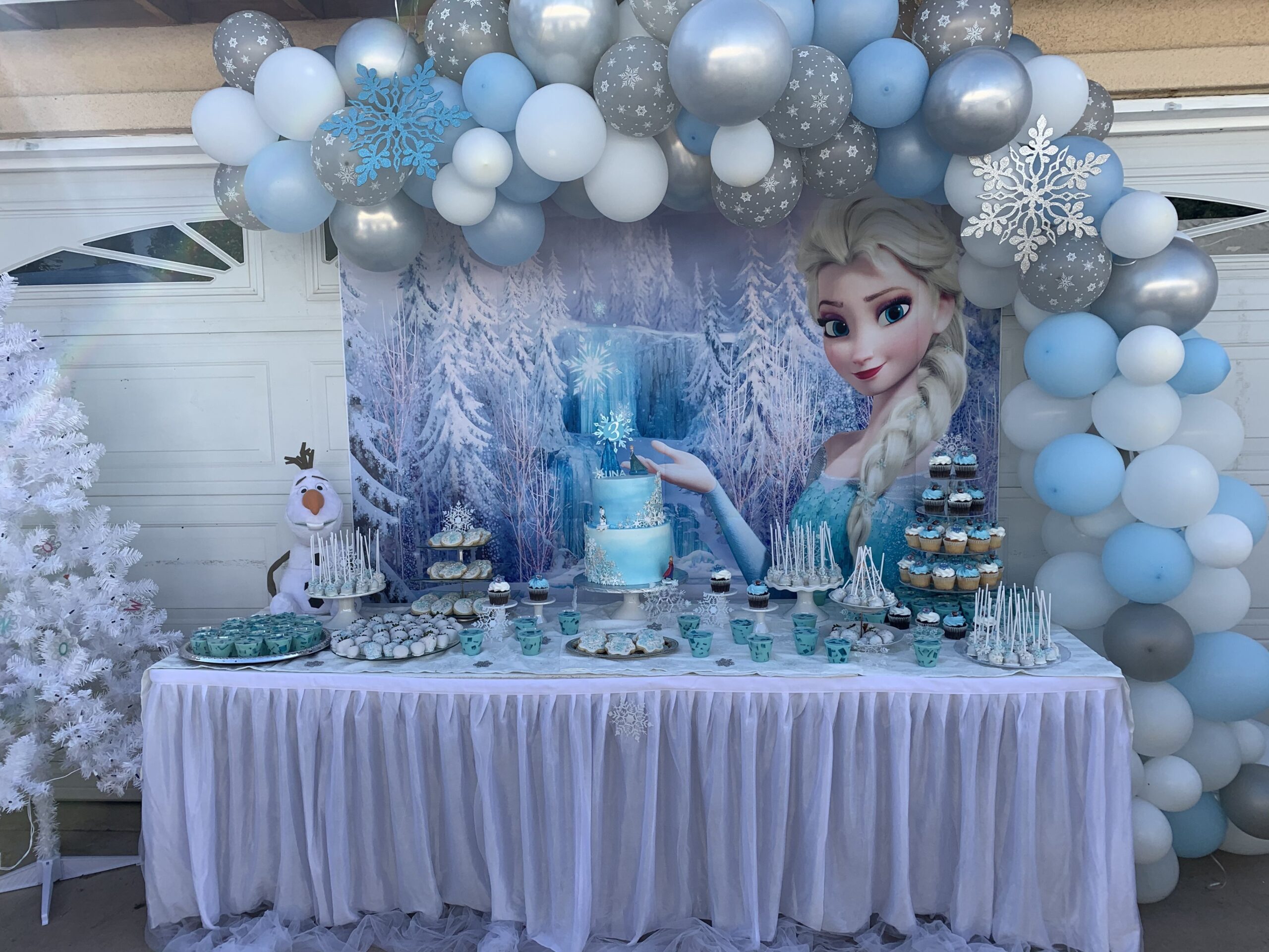 Frozen Theme