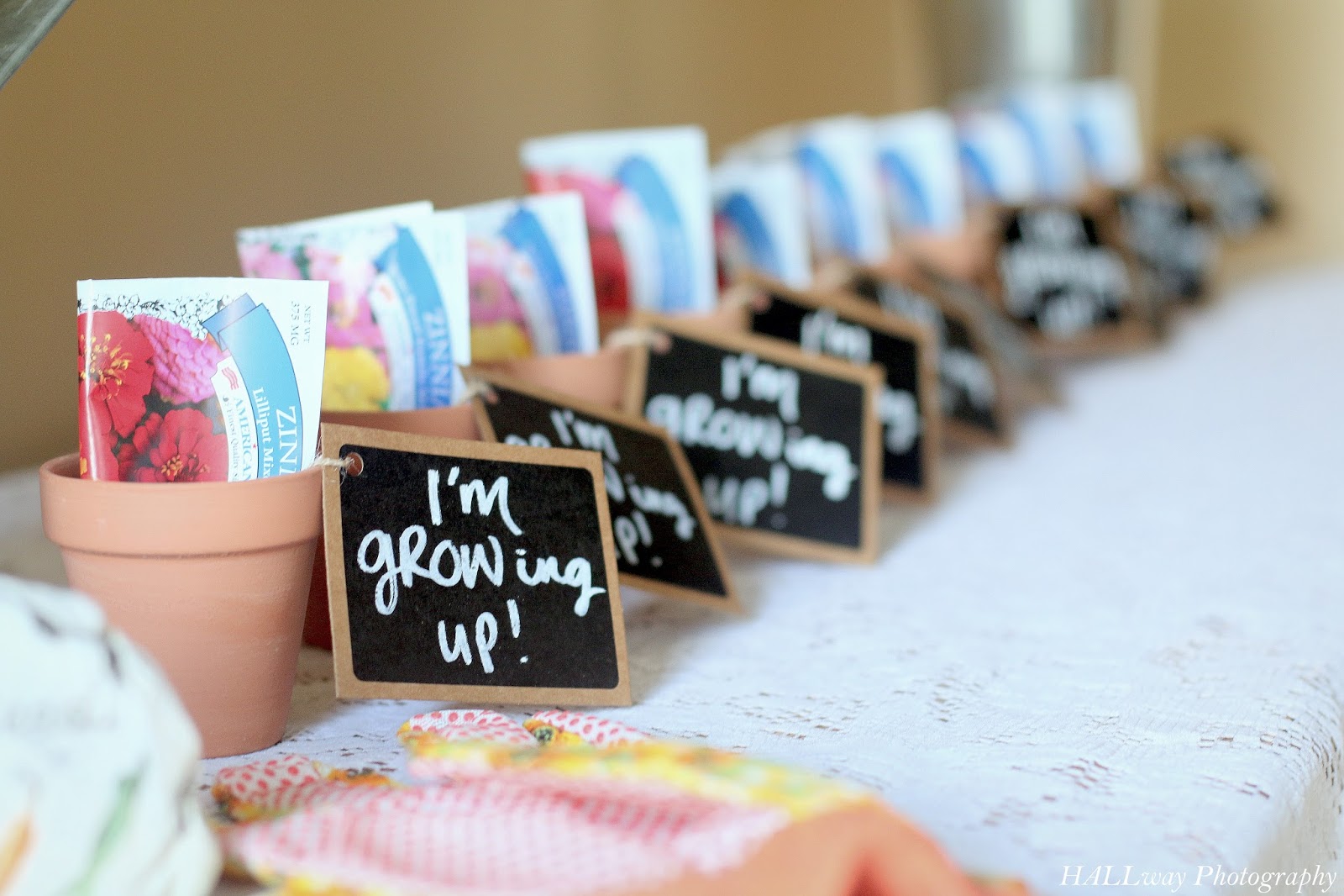 Seed Packets And Pots