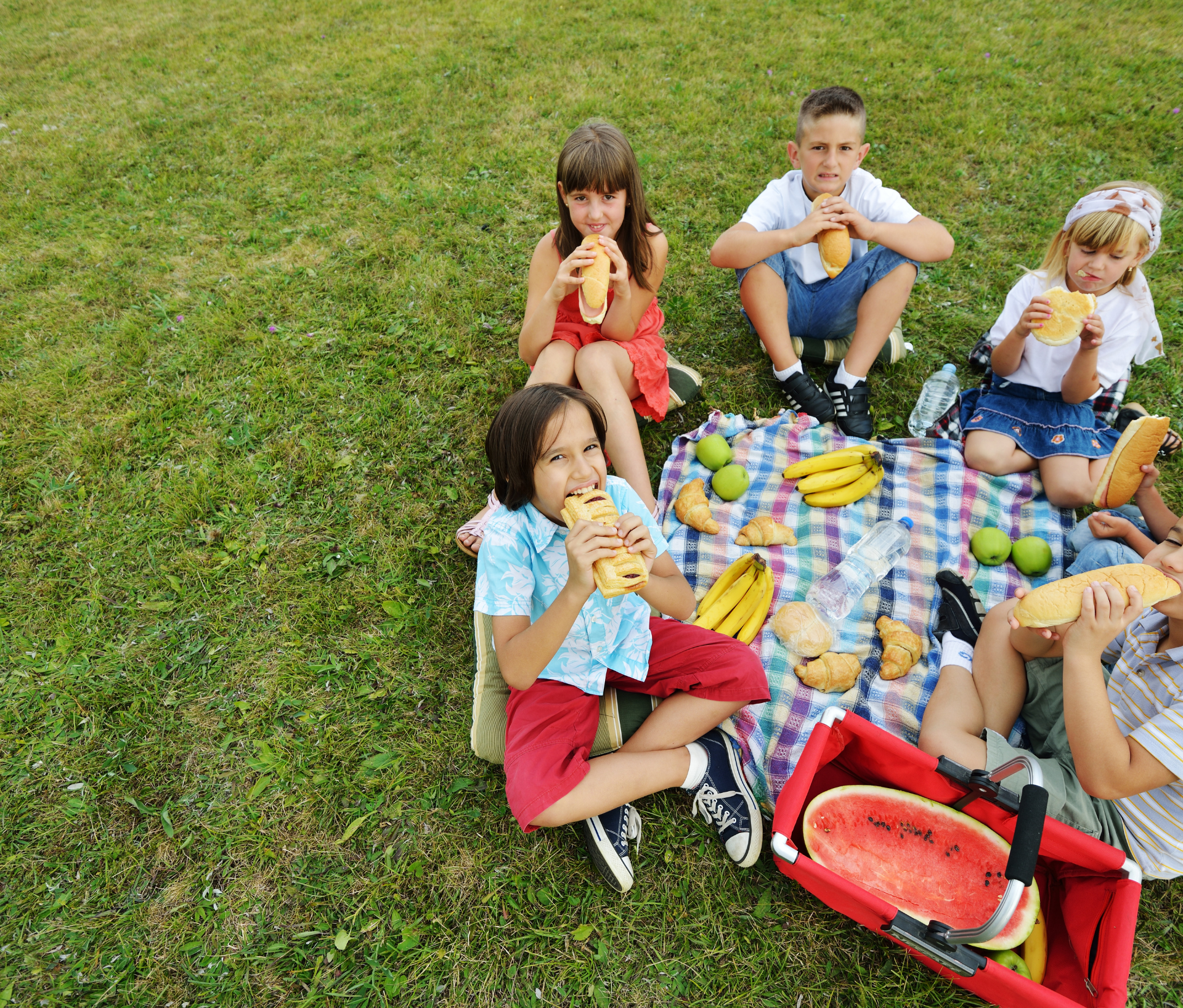 Picnic In The Park