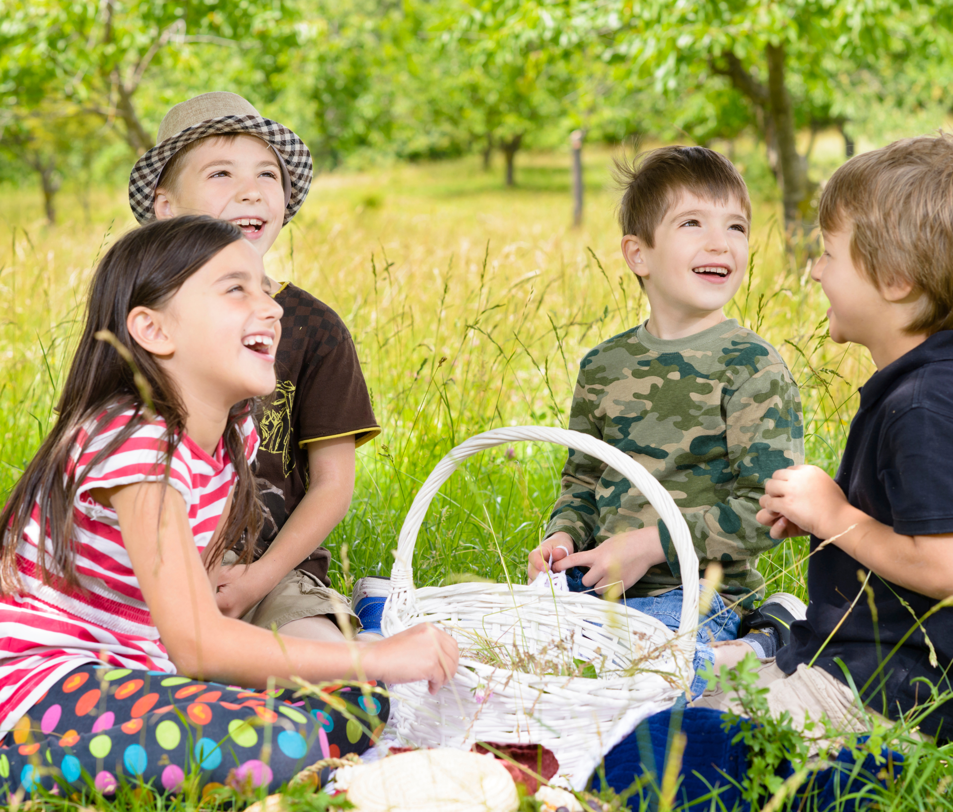 Picnic In The Park