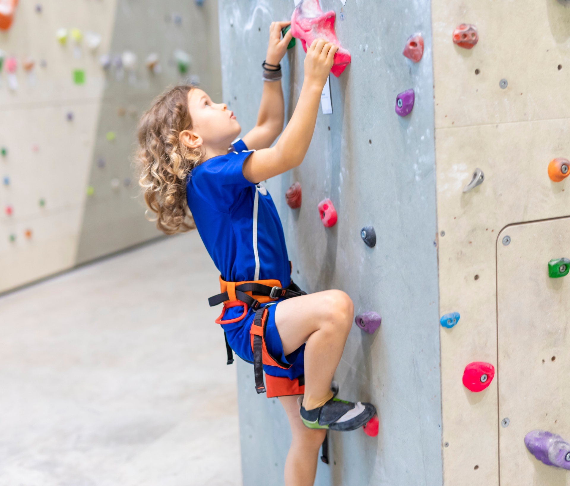 Rock-Climbing Gym
