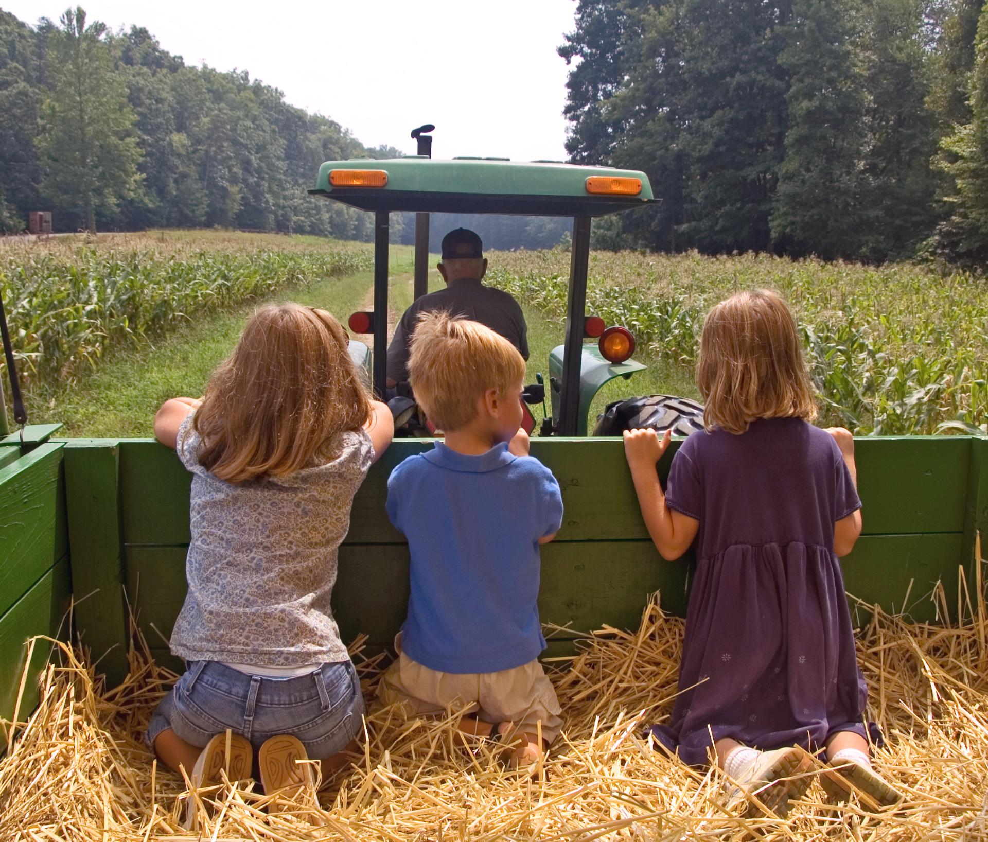 Down On The Farm
