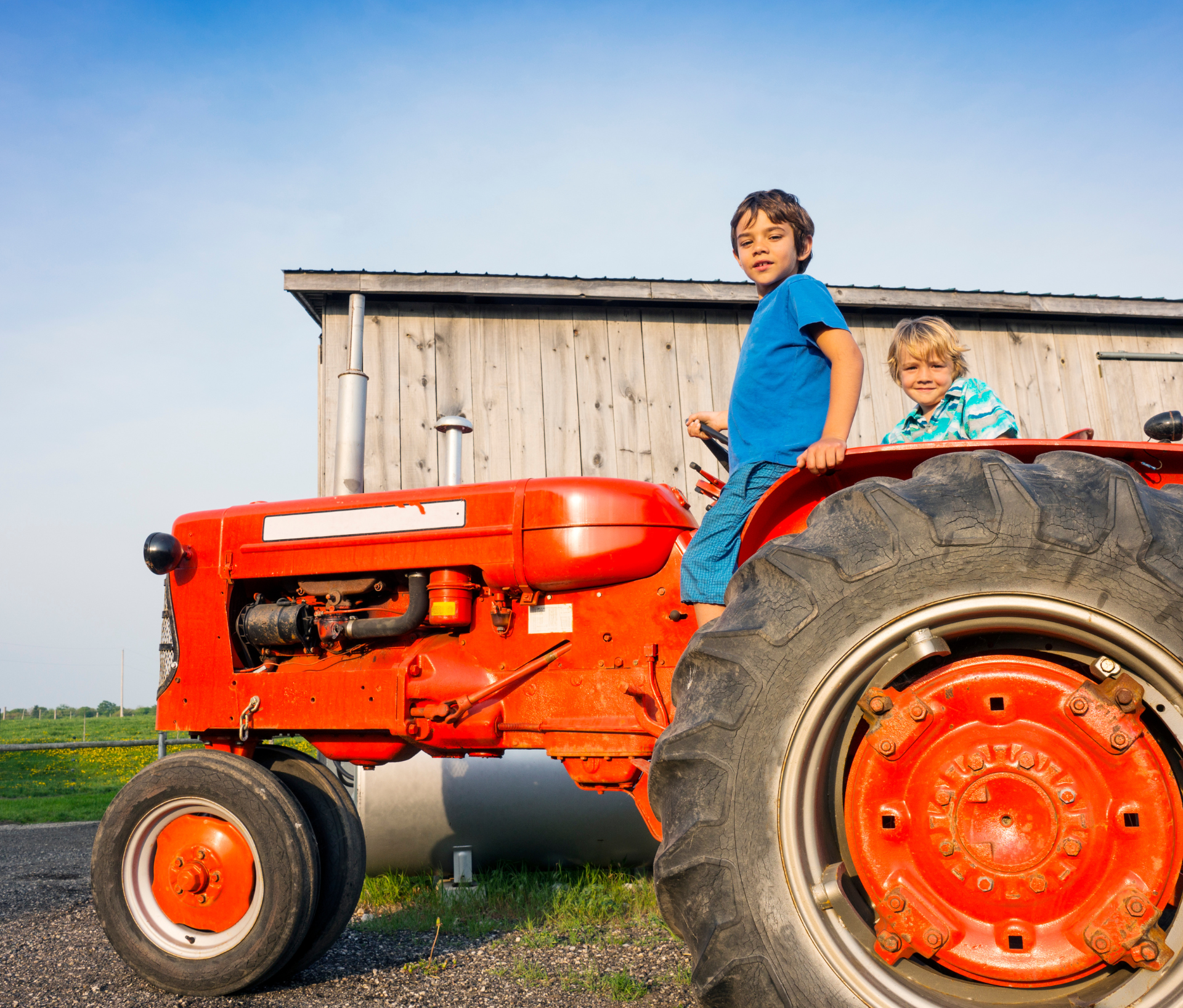 Organize A Farm Visit