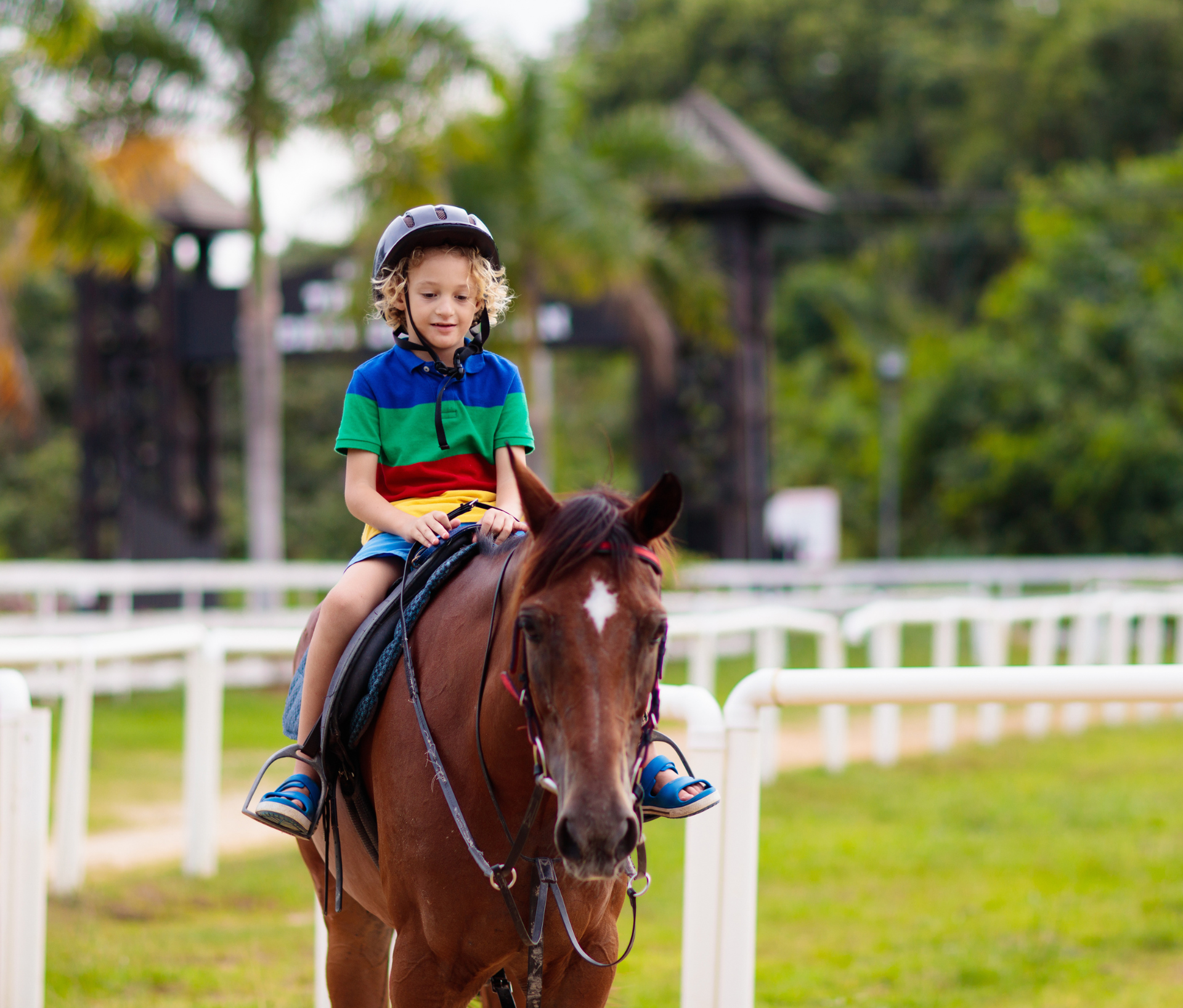 Horseback Ride