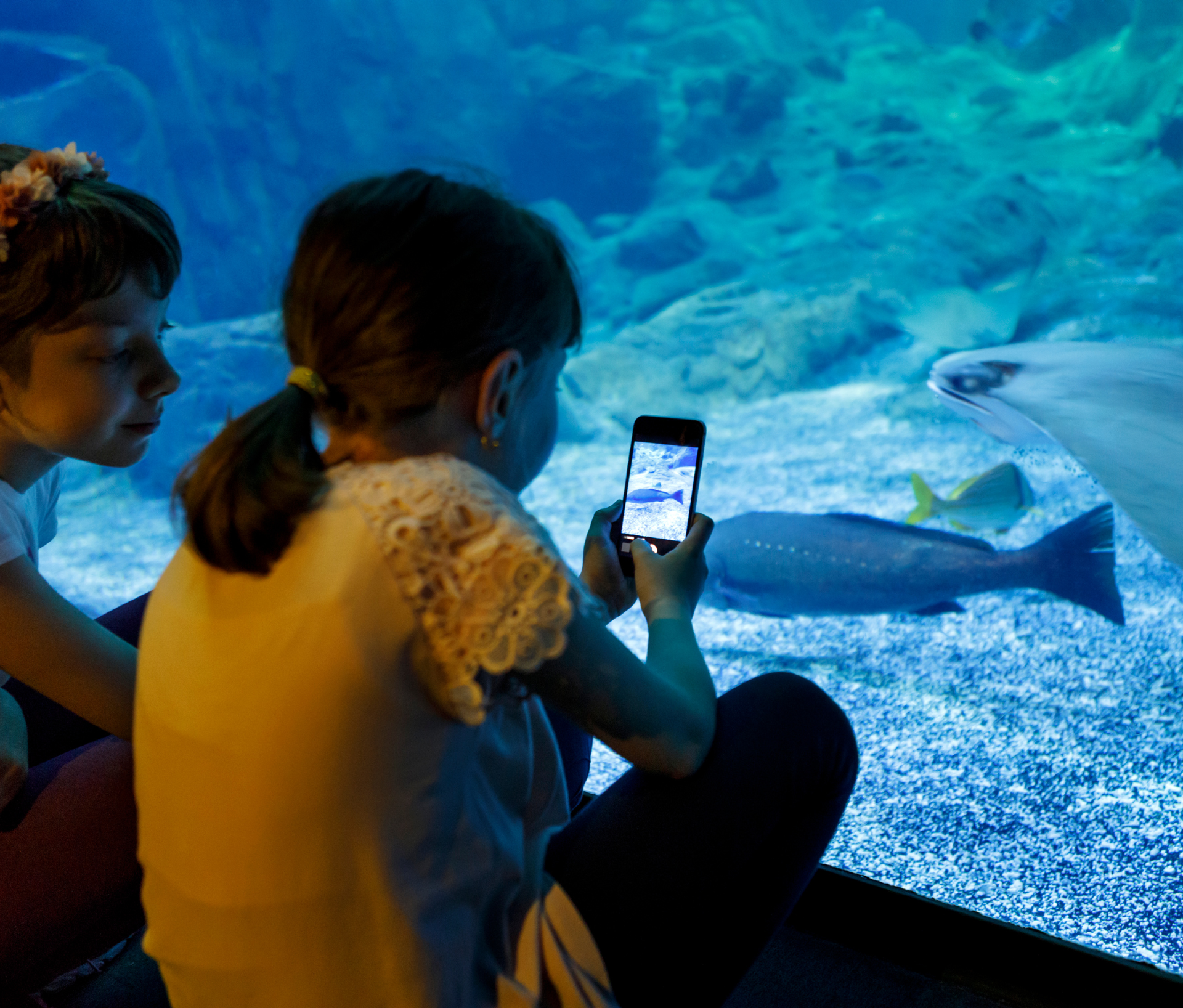 Visit The Aquarium