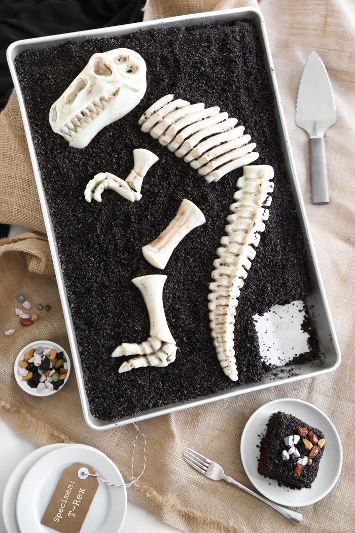 Dinosaur Dig Sheet Cake