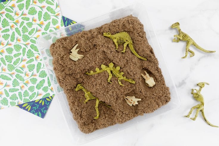 Go On A Dino Dig